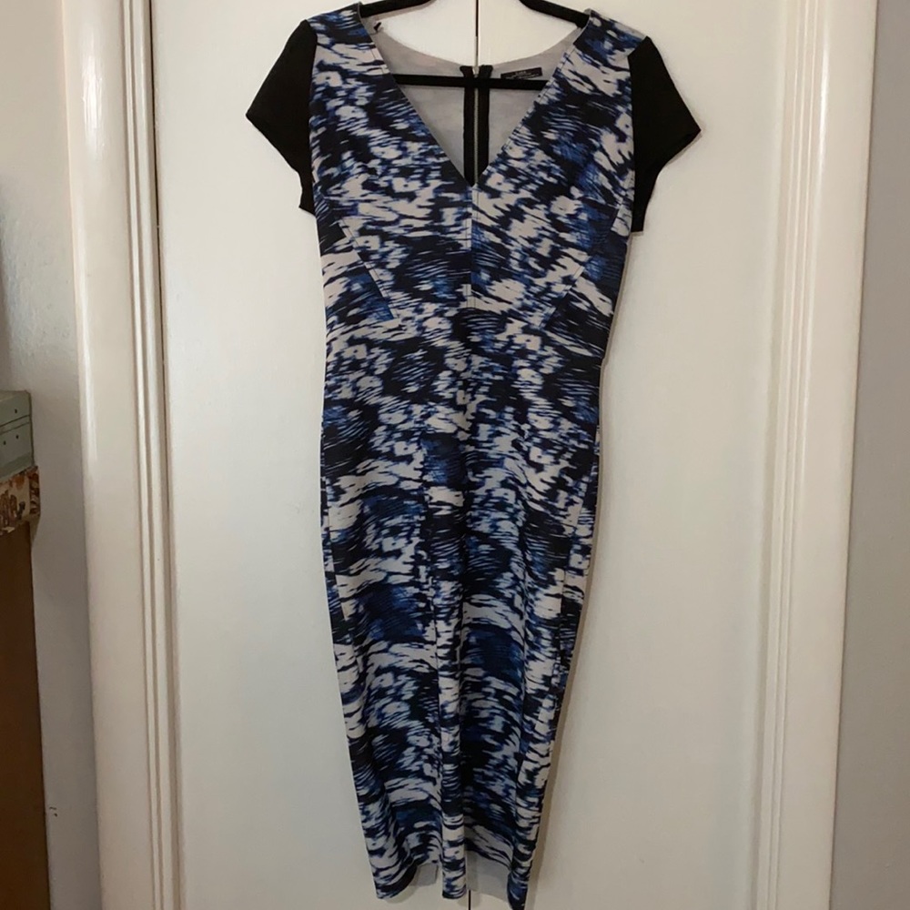Fitted Zara dress with back zipper
